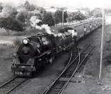 The last Auckland-Taneatua passenger express